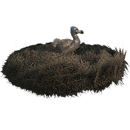 CS Hatchery